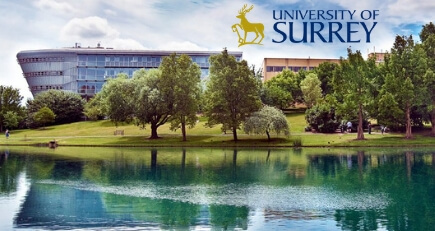 University of Surrey - Challenges of Managing Research Assets
